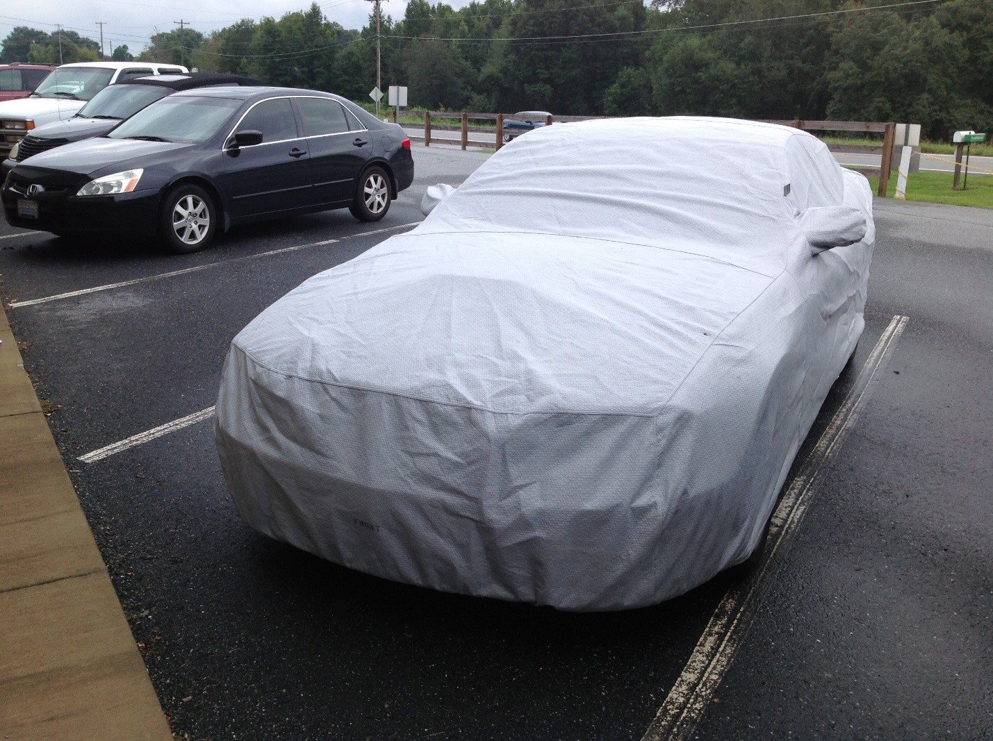 Protect your car from tree sap with a Noah car cover Car Lovers Direct