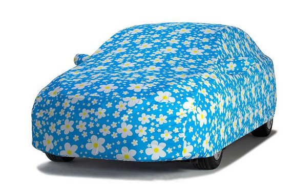 Daisy Blue Daisy Blue