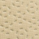 Tan Tan material swatch